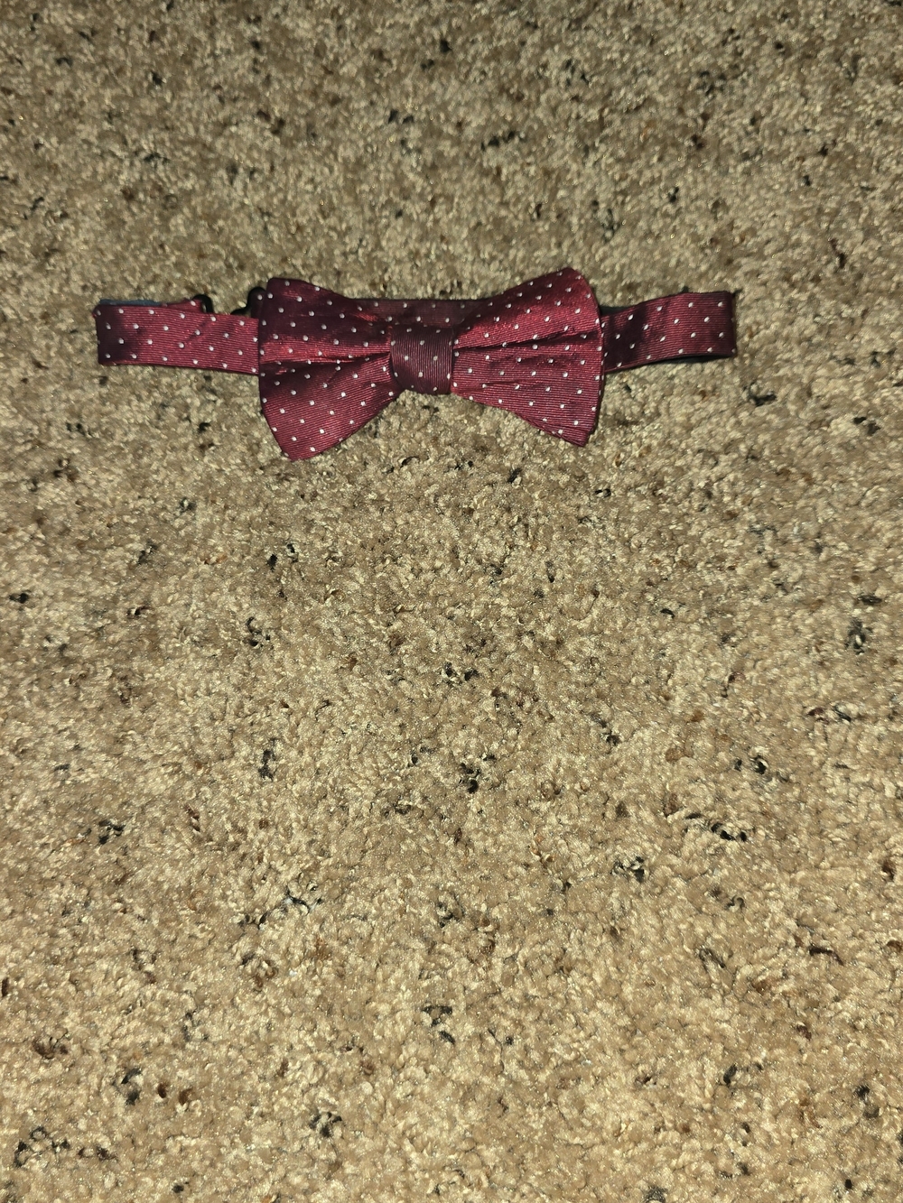 Ryan Seacrest Distinction Burgundy Polka Dot Bow Tie